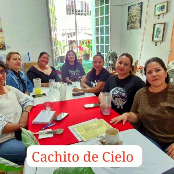 Para quienes confunden un buscador tradicional con la inteligencia artificial, la ingeniera en sistemas y especialista en tecnología educativa, Alma Rico, creadora del proyecto Menos Carga Más Vida, ofreció una analogía clarificadora: