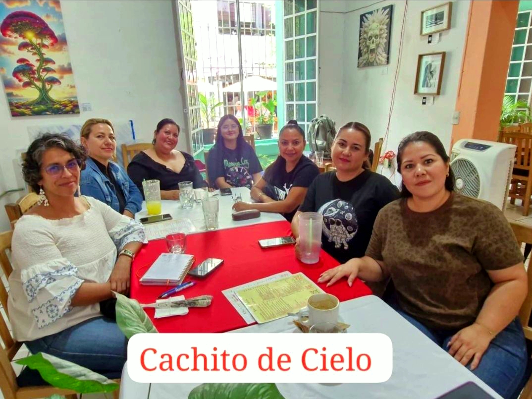 Para quienes confunden un buscador tradicional con la inteligencia artificial, la ingeniera en sistemas y especialista en tecnología educativa, Alma Rico, creadora del proyecto Menos Carga Más Vida, ofreció una analogía clarificadora: